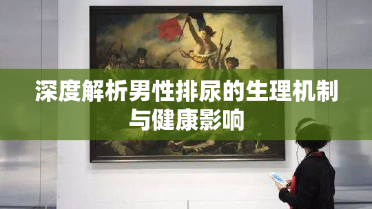 深度解析男性排尿的生理机制与健康影响