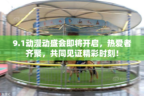 9.1动漫动盛会即将开启，热爱者齐聚，共同见证精彩时刻！