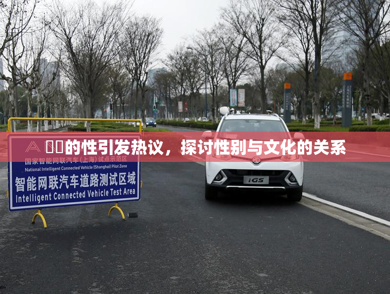 妺妺的性引发热议，探讨性别与文化的关系