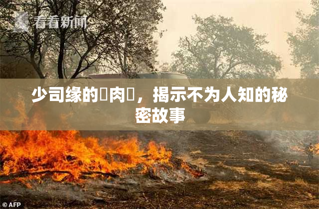 少司缘的婬肉泬，揭示不为人知的秘密故事