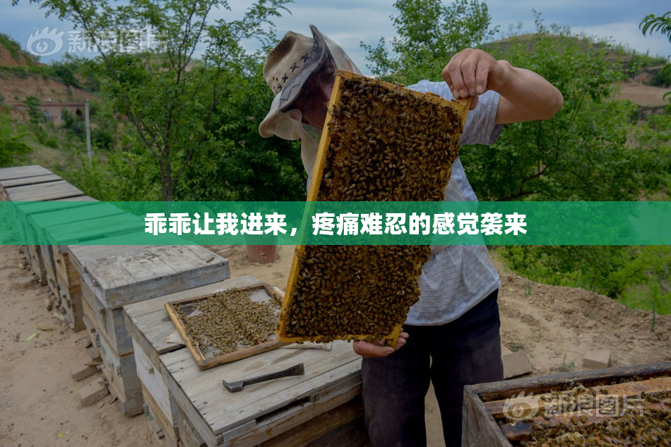 乖乖让我进来，疼痛难忍的感觉袭来