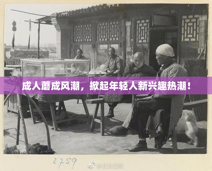 成人蘑成风潮，掀起年轻人新兴趣热潮！