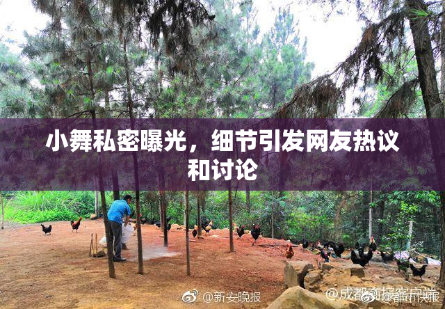 小舞私密曝光，细节引发网友热议和讨论
