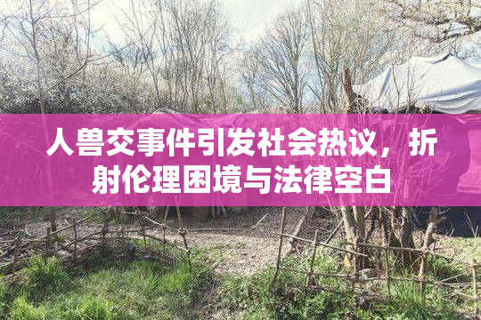 人兽交事件引发社会热议，折射伦理困境与法律空白