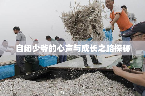 自闭少爷的心声与成长之路探秘