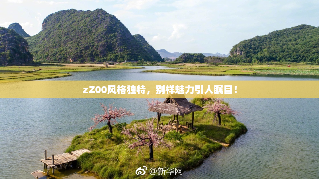 zZ00风格独特，别样魅力引人瞩目！