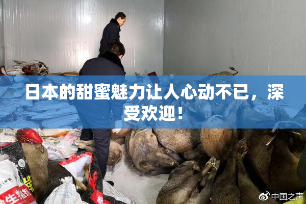 日本的甜蜜魅力让人心动不已，深受欢迎！
