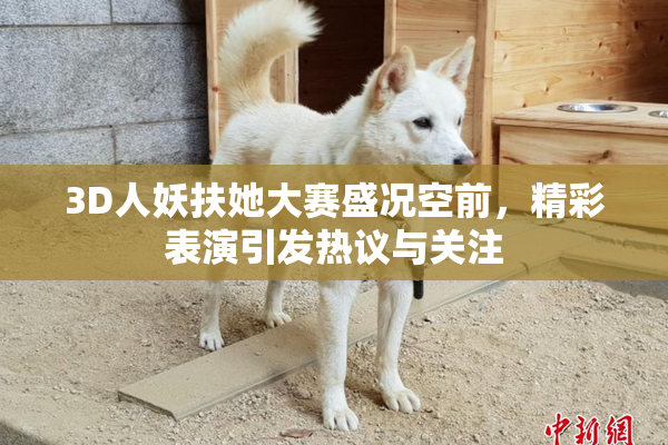 3D人妖扶她大赛盛况空前，精彩表演引发热议与关注