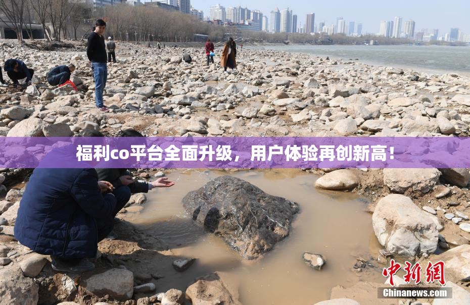 福利co平台全面升级，用户体验再创新高！