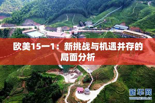 欧美15一1：新挑战与机遇并存的局面分析