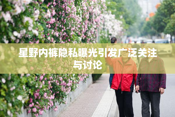 星野内裤隐私曝光引发广泛关注与讨论