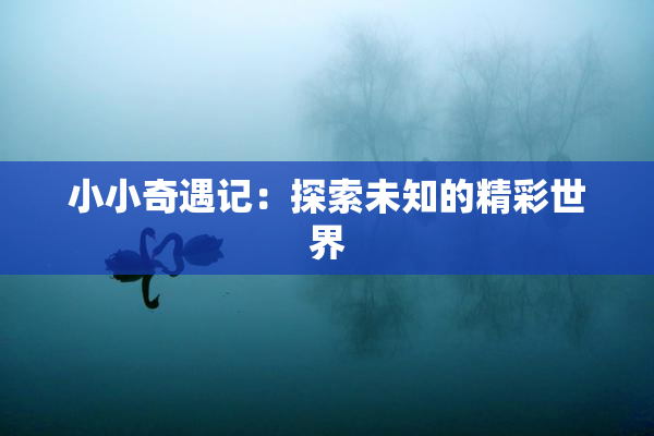 小小奇遇记：探索未知的精彩世界