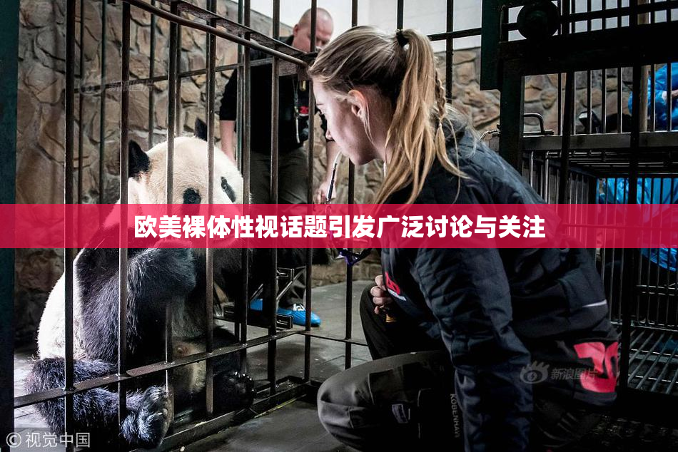 欧美裸体性视话题引发广泛讨论与关注