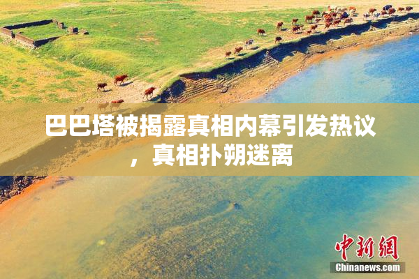 巴巴塔被揭露真相内幕引发热议，真相扑朔迷离
