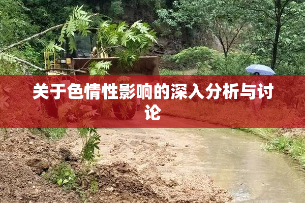 关于色情性影响的深入分析与讨论
