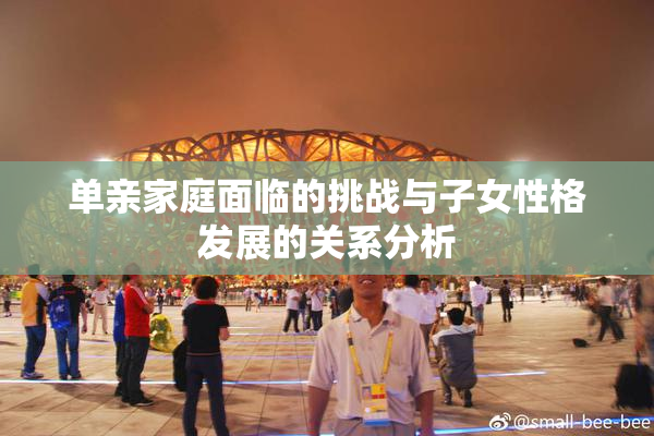 单亲家庭面临的挑战与子女性格发展的关系分析