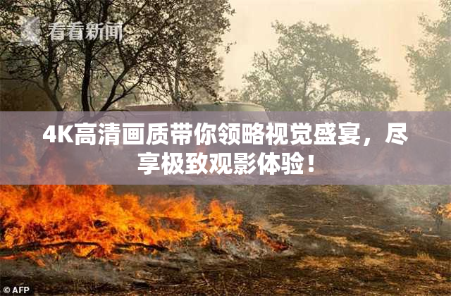 4K高清画质带你领略视觉盛宴，尽享极致观影体验！