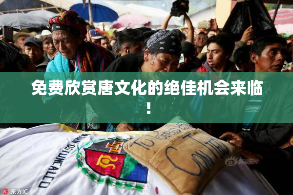 免费欣赏唐文化的绝佳机会来临！