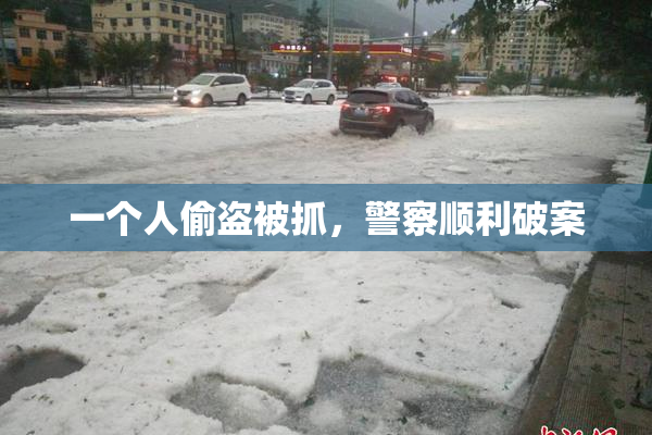 一个人偷盗被抓，警察顺利破案