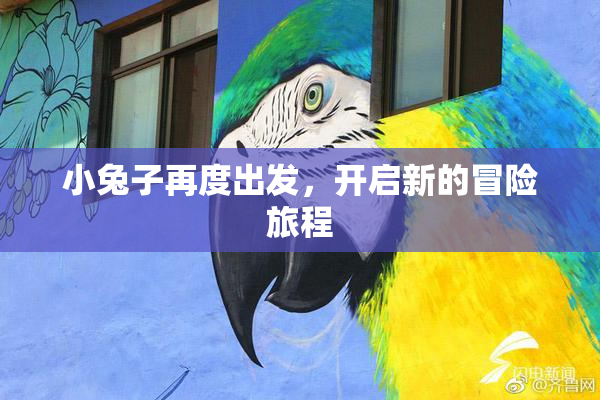 小兔子再度出发，开启新的冒险旅程