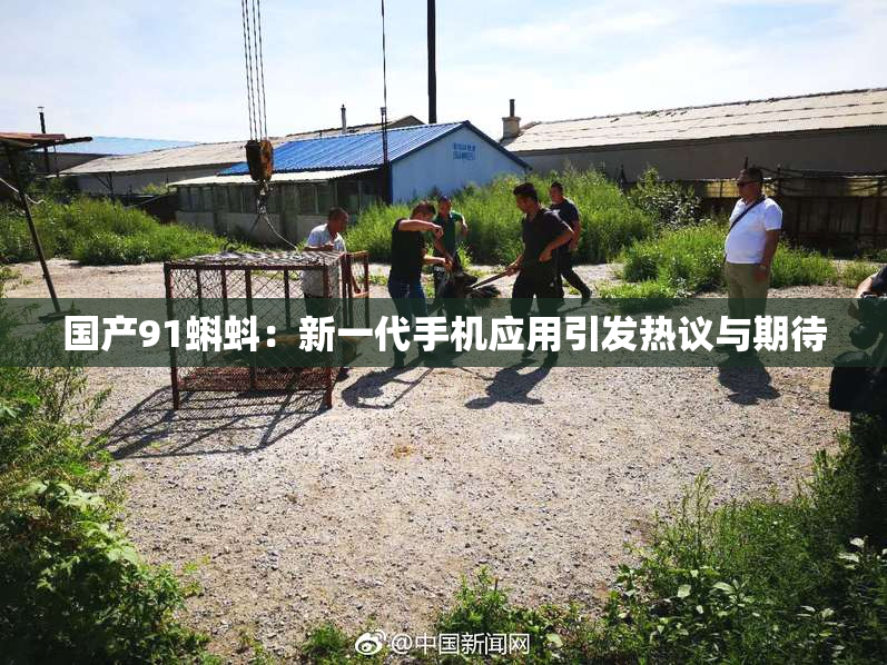 国产91蝌蚪：新一代手机应用引发热议与期待