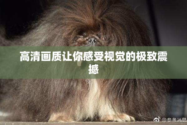 高清画质让你感受视觉的极致震撼