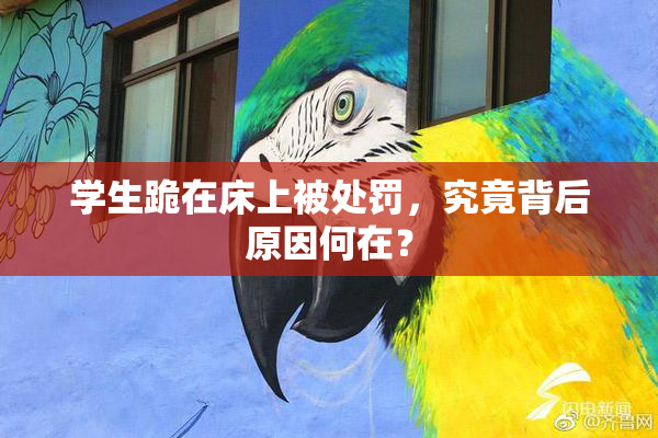 学生跪在床上被处罚，究竟背后原因何在？