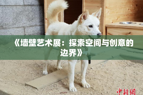 《墙壁艺术展：探索空间与创意的边界》