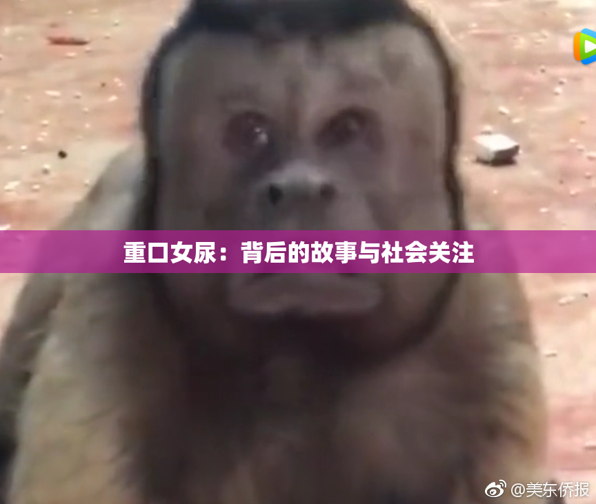 重口女尿：背后的故事与社会关注