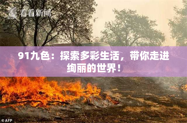 91九色：探索多彩生活，带你走进绚丽的世界！