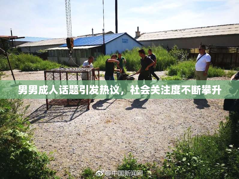 男男成人话题引发热议，社会关注度不断攀升