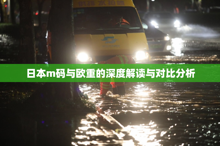 日本m码与欧重的深度解读与对比分析