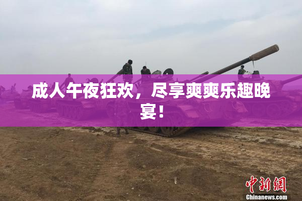 成人午夜狂欢，尽享爽爽乐趣晚宴！
