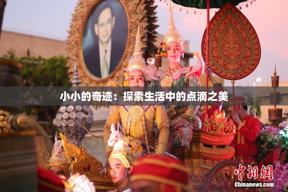 小小的奇迹：探索生活中的点滴之美