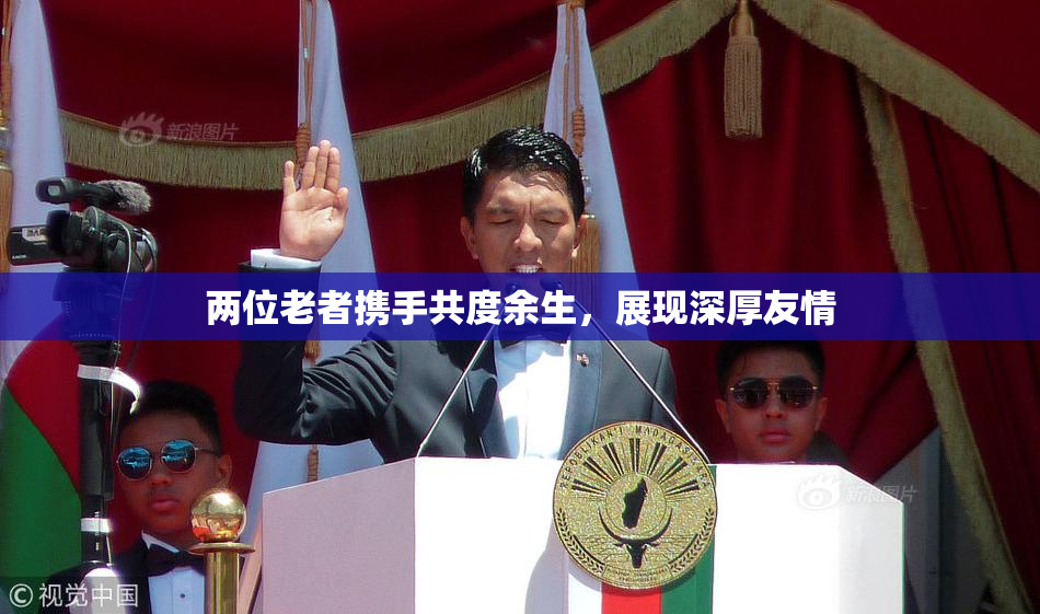 两位老者携手共度余生，展现深厚友情
