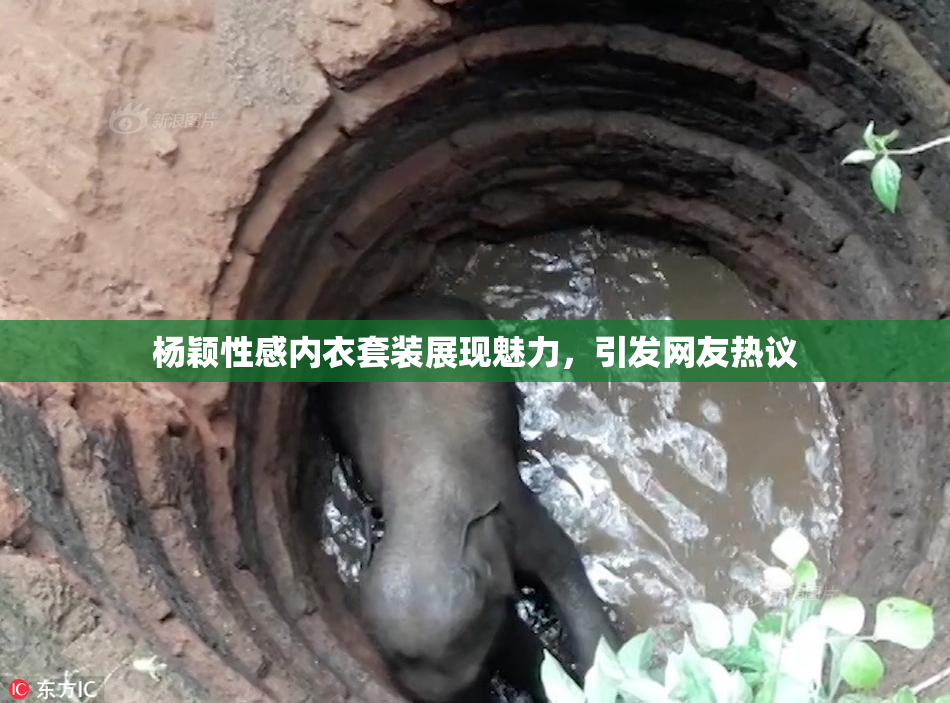 杨颖性感内衣套装展现魅力，引发网友热议