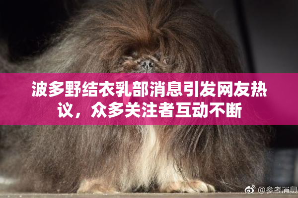 波多野结衣乳部消息引发网友热议，众多关注者互动不断