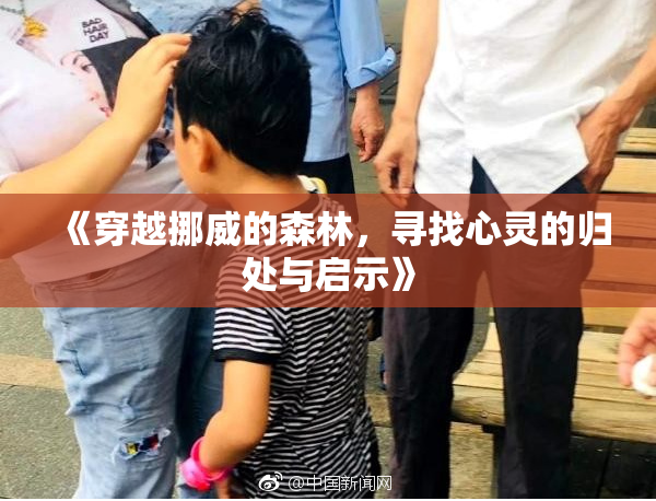 《穿越挪威的森林，寻找心灵的归处与启示》