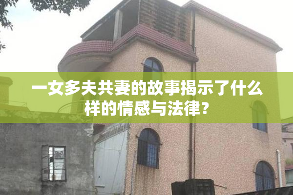 一女多夫共妻的故事揭示了什么样的情感与法律？