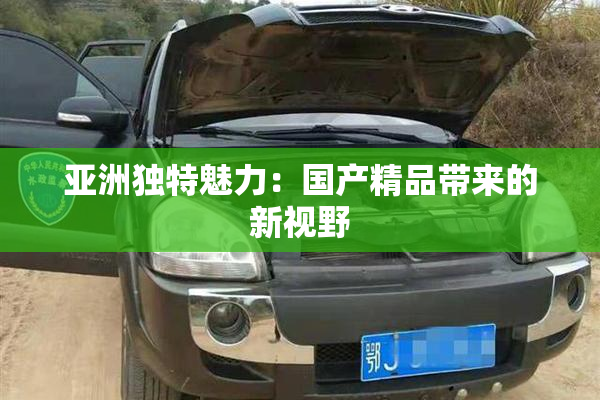 亚洲独特魅力：国产精品带来的新视野