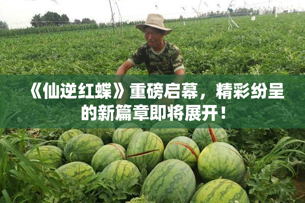 《仙逆红蝶》重磅启幕，精彩纷呈的新篇章即将展开！