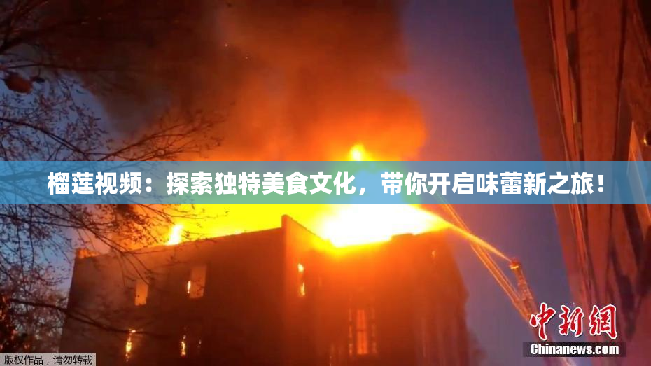 榴莲视频：探索独特美食文化，带你开启味蕾新之旅！