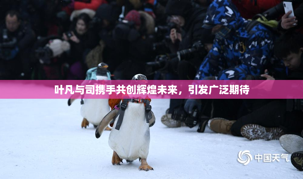 叶凡与司携手共创辉煌未来，引发广泛期待