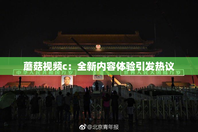 蘑菇视频c：全新内容体验引发热议