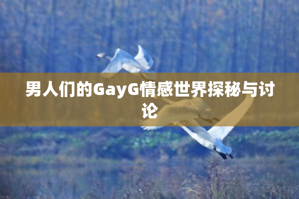男人们的GayG情感世界探秘与讨论