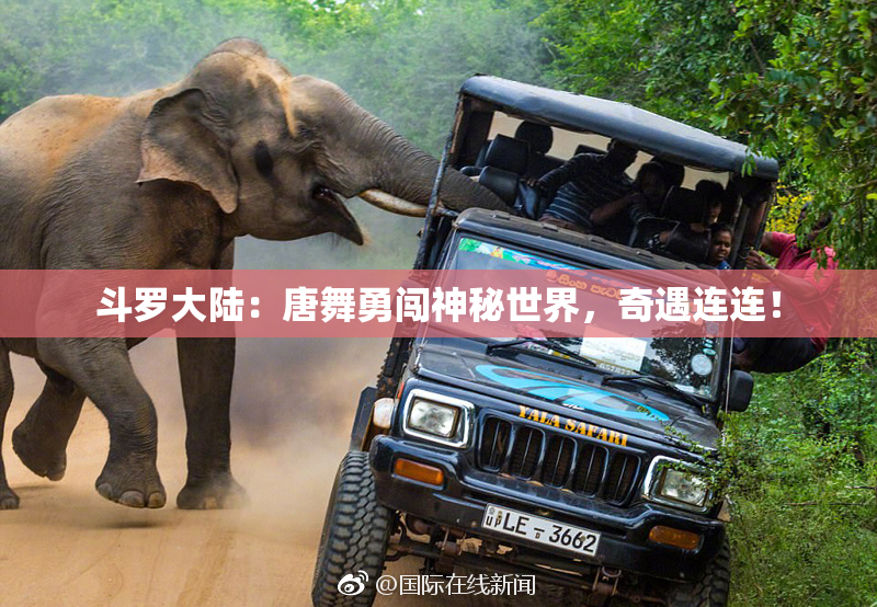 斗罗大陆：唐舞勇闯神秘世界，奇遇连连！