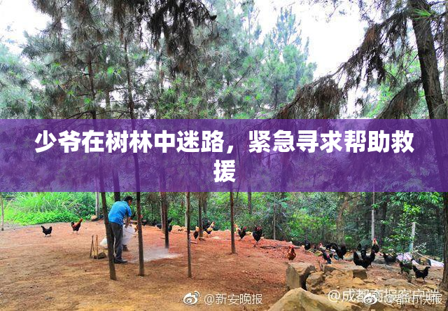 少爷在树林中迷路，紧急寻求帮助救援