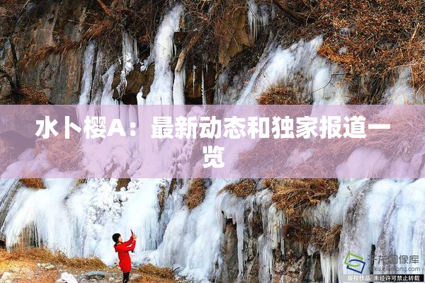 水卜樱A：最新动态和独家报道一览