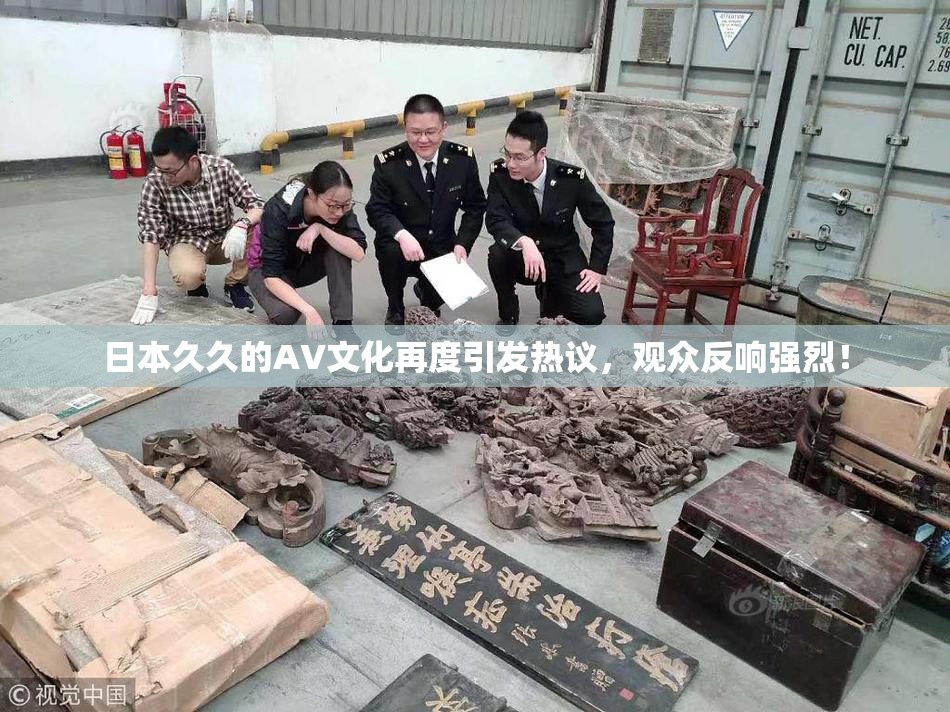 日本久久的AV文化再度引发热议，观众反响强烈！