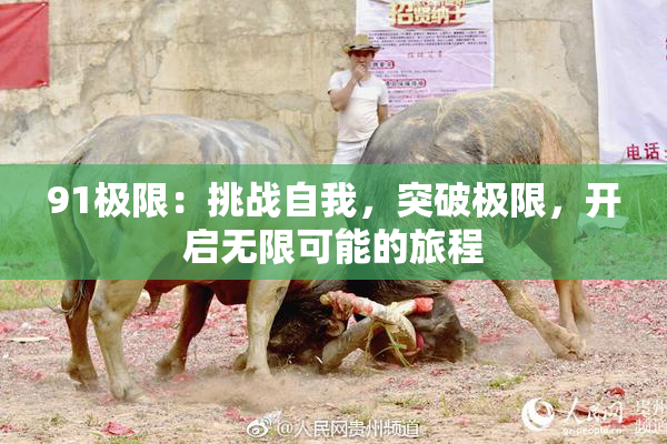 91极限：挑战自我，突破极限，开启无限可能的旅程